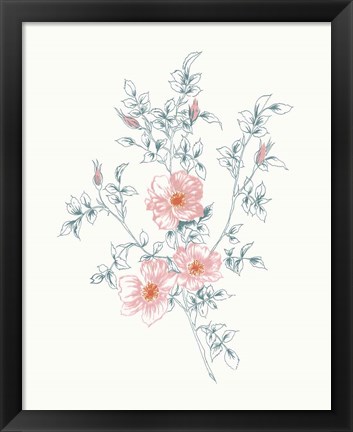 Framed Flowers on White II Contemporary Bright Print