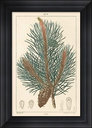 Framed Pin Drawing Print