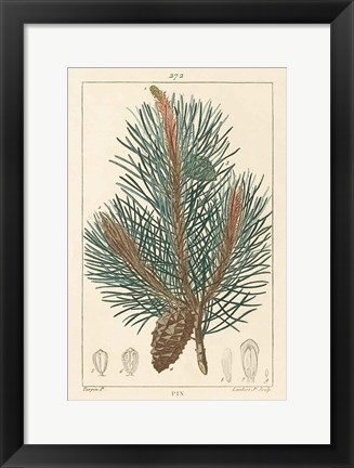 Framed Pin Drawing Print