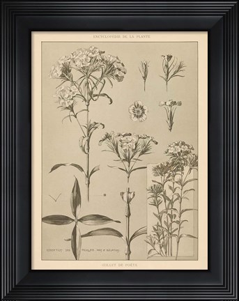 Framed Lithograph Florals III Print
