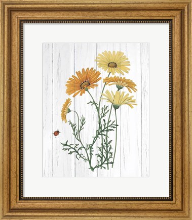 Framed Botanical Bouquet on Wood I Print