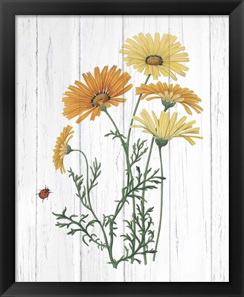 Framed Botanical Bouquet on Wood I Print