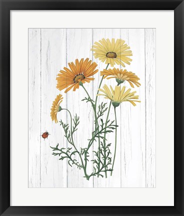 Framed Botanical Bouquet on Wood I Print