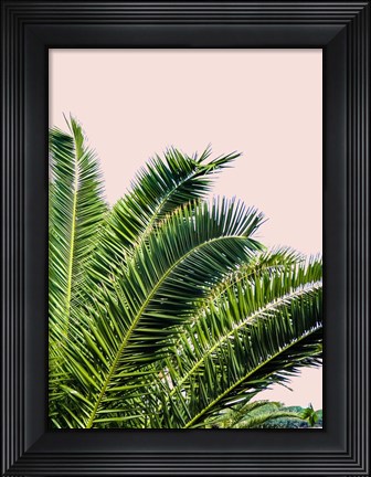 Framed Tropical Leaves on Blush I Print