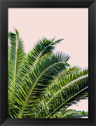 Framed Tropical Leaves on Blush I Print