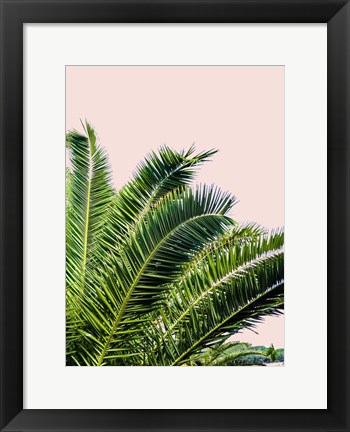 Framed Tropical Leaves on Blush I Print