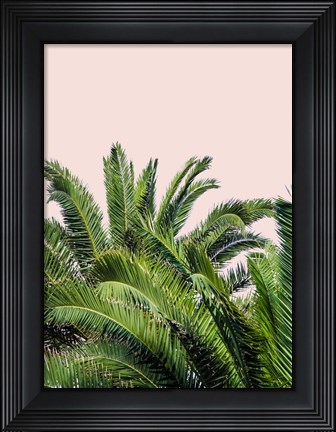 Framed Tropical Leaves on Blush II Print
