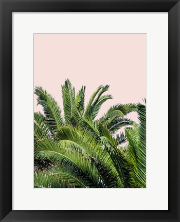 Framed Tropical Leaves on Blush II Print