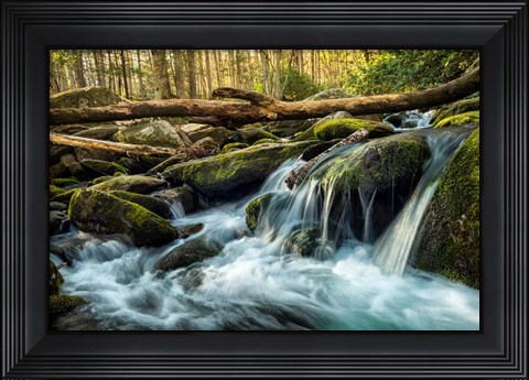 Framed Sticks and Stones Print