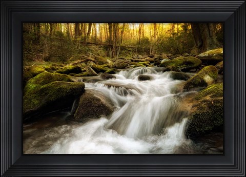 Framed Roaring Fork Print