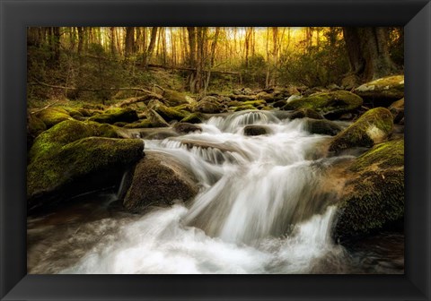 Framed Roaring Fork Print