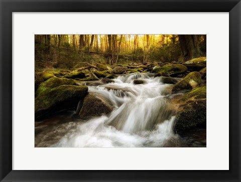 Framed Roaring Fork Print