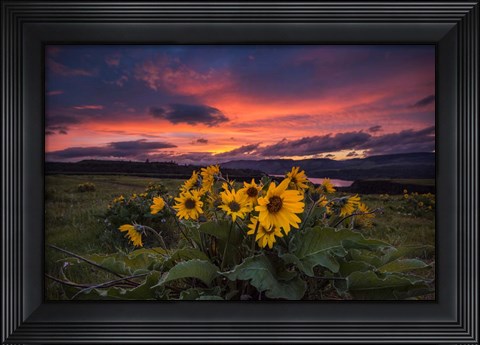 Framed Sunset at the Gorge Print