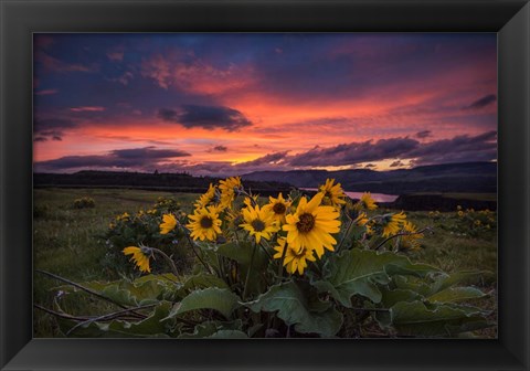 Framed Sunset at the Gorge Print