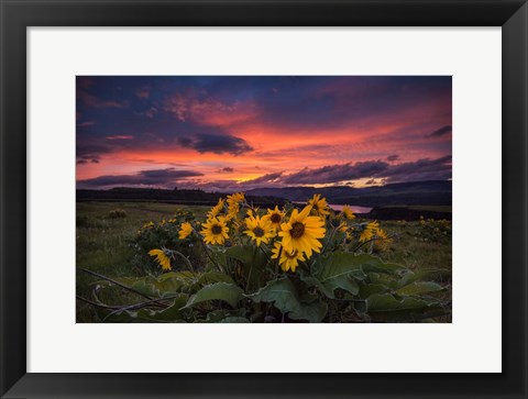 Framed Sunset at the Gorge Print