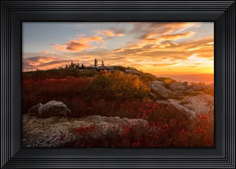Framed Sunrise in Fall II Print