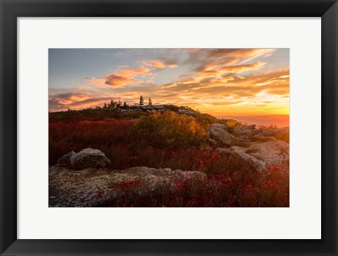 Framed Sunrise in Fall II Print