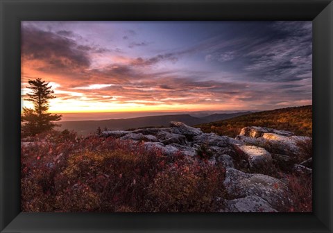 Framed Sunrise in Fall III Print