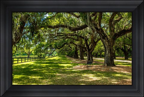 Framed Boone Hall Print