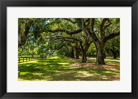 Framed Boone Hall Print