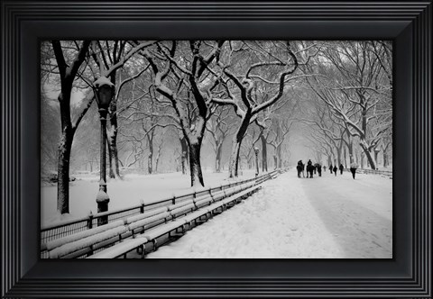Framed Central Park Snow Print