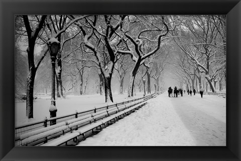 Framed Central Park Snow Print