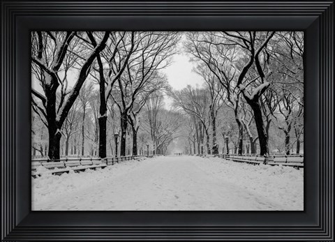 Framed Mall Washington DC Print