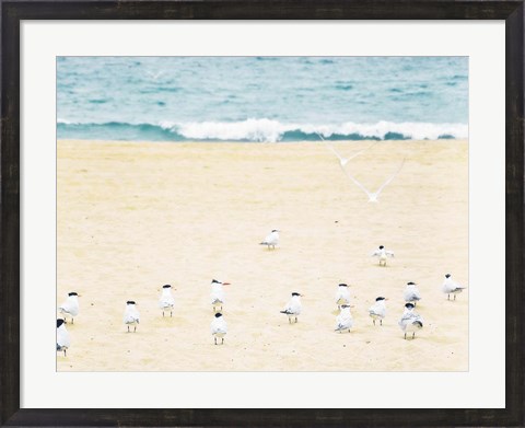 Framed Relaxed Seagulls Print