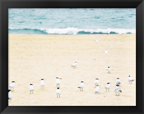 Framed Relaxed Seagulls Print