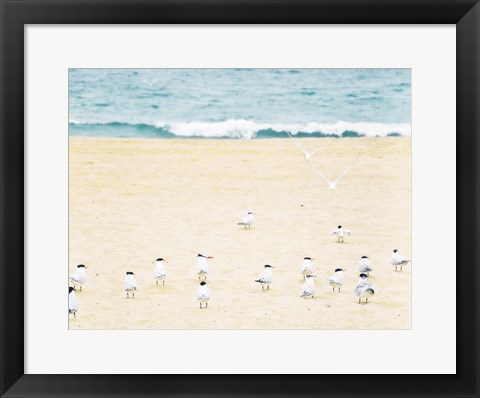 Framed Relaxed Seagulls Print
