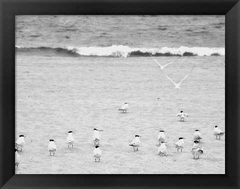 Framed Coastline Flock Print