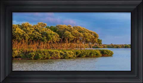 Framed Sundown by the Lake Print