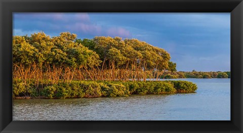 Framed Sundown by the Lake Print