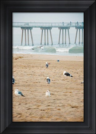 Framed Seagull Coast Print