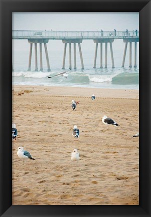 Framed Seagull Coast Print