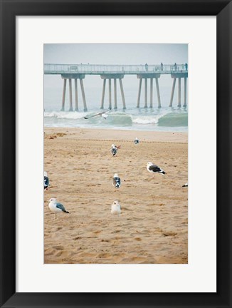 Framed Seagull Coast Print