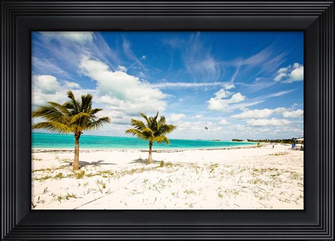 Framed Palms and Kites Print