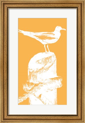 Framed Perching Seabird III Print