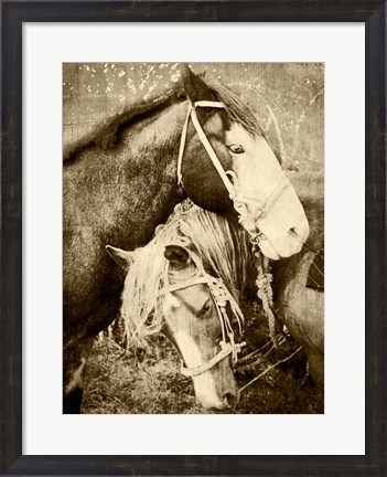 Framed Vintage Horses Print