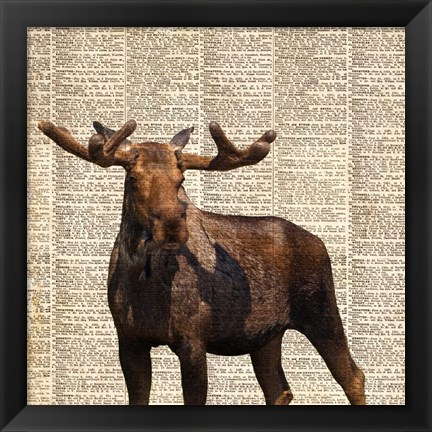 Framed Country Moose I Print