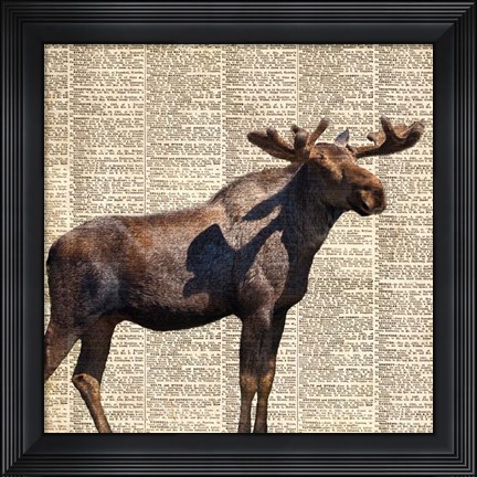 Framed Country Moose II Print