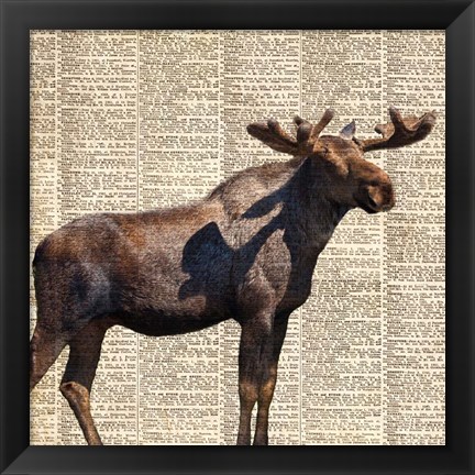 Framed Country Moose II Print