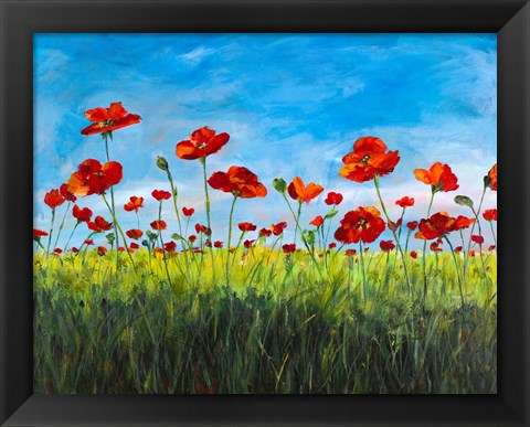 Framed Wild Poppies Print