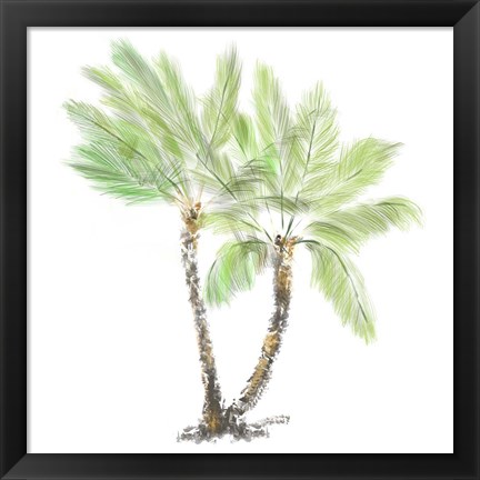 Framed Palm Tree on White I Print