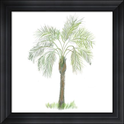 Framed Palm Tree on White II Print