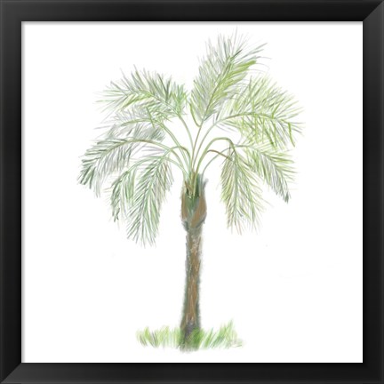 Framed Palm Tree on White II Print