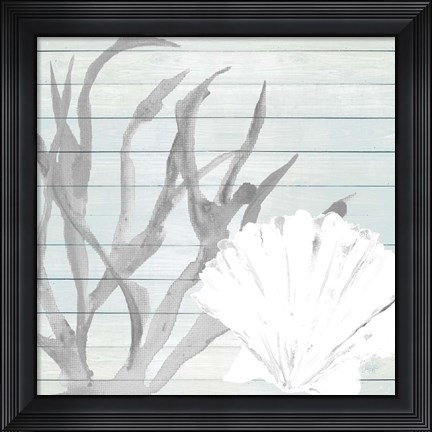 Framed Seashell on Blue Wood Print
