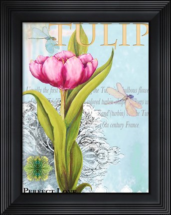 Framed Elegant Tulip I Print