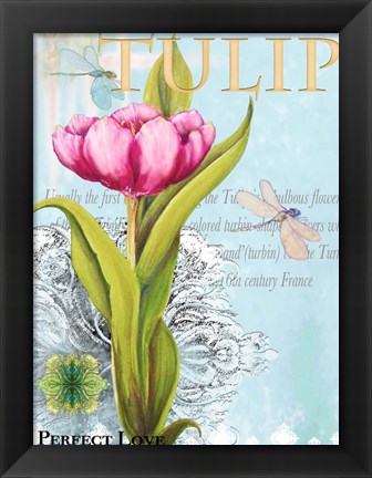 Framed Elegant Tulip I Print