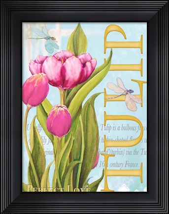 Framed Elegant Tulip II Print